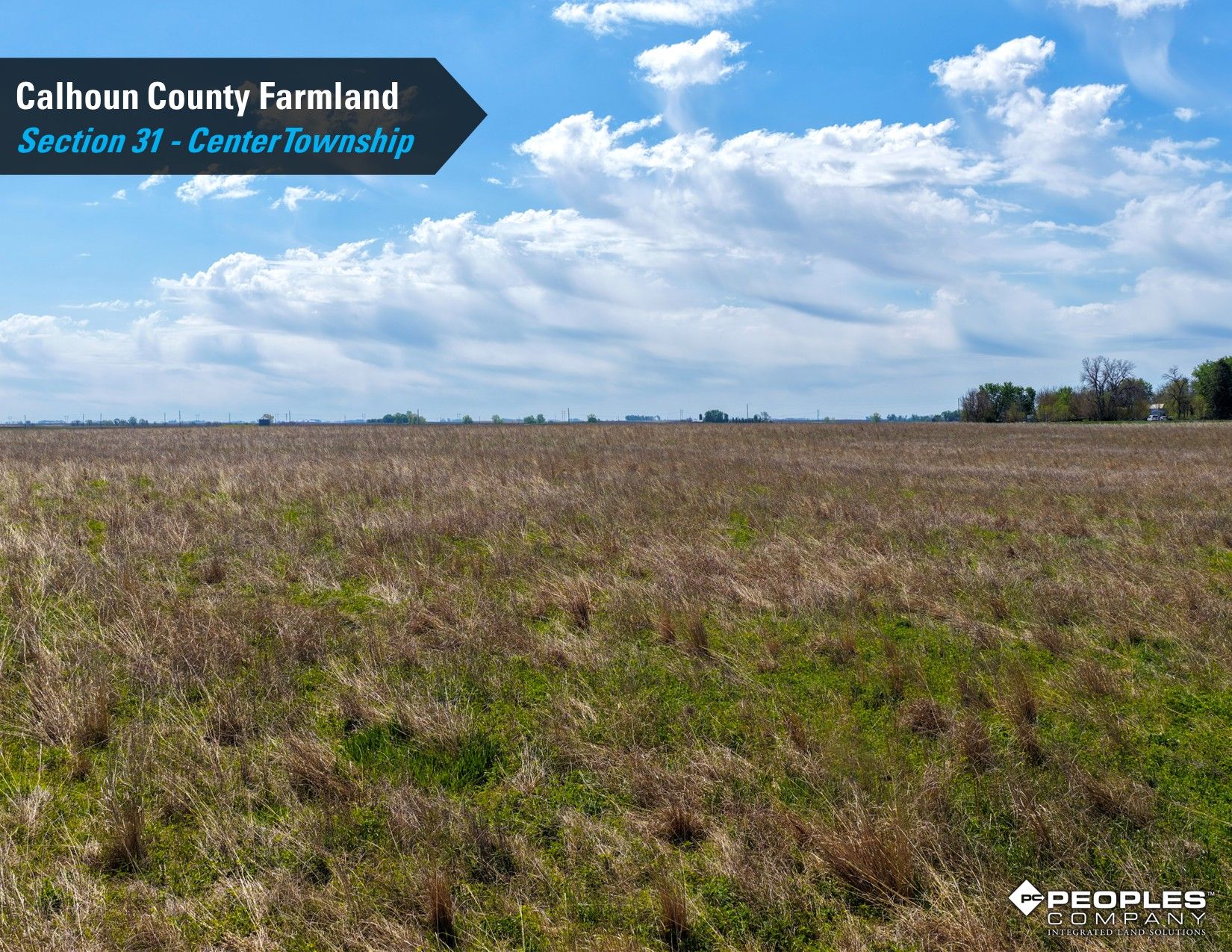 Listing Photo: Calhoun-County-Iowa-Land-Available-Rockwell-City-78.20Acres-Center-Township (5)